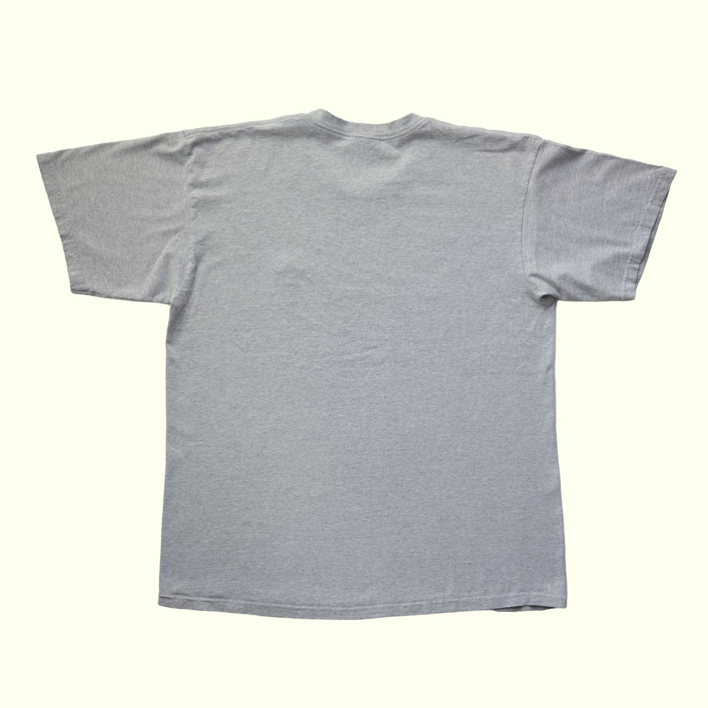 NIKE Y2K MINI SWOOSH EMBROIDERED LOGO GRAY T SHIRT 2004 SZ L